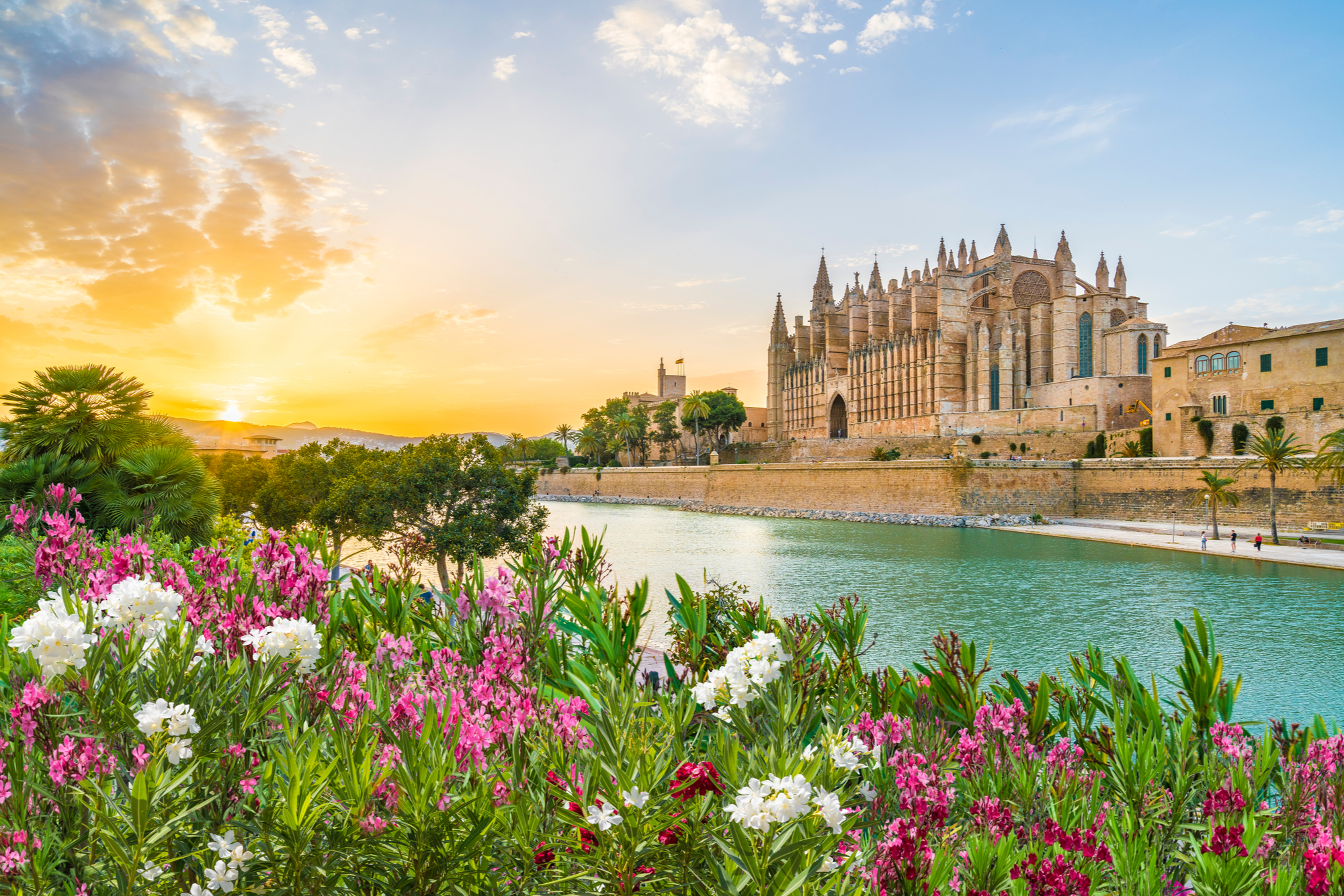 Spain superyacht charter, palma