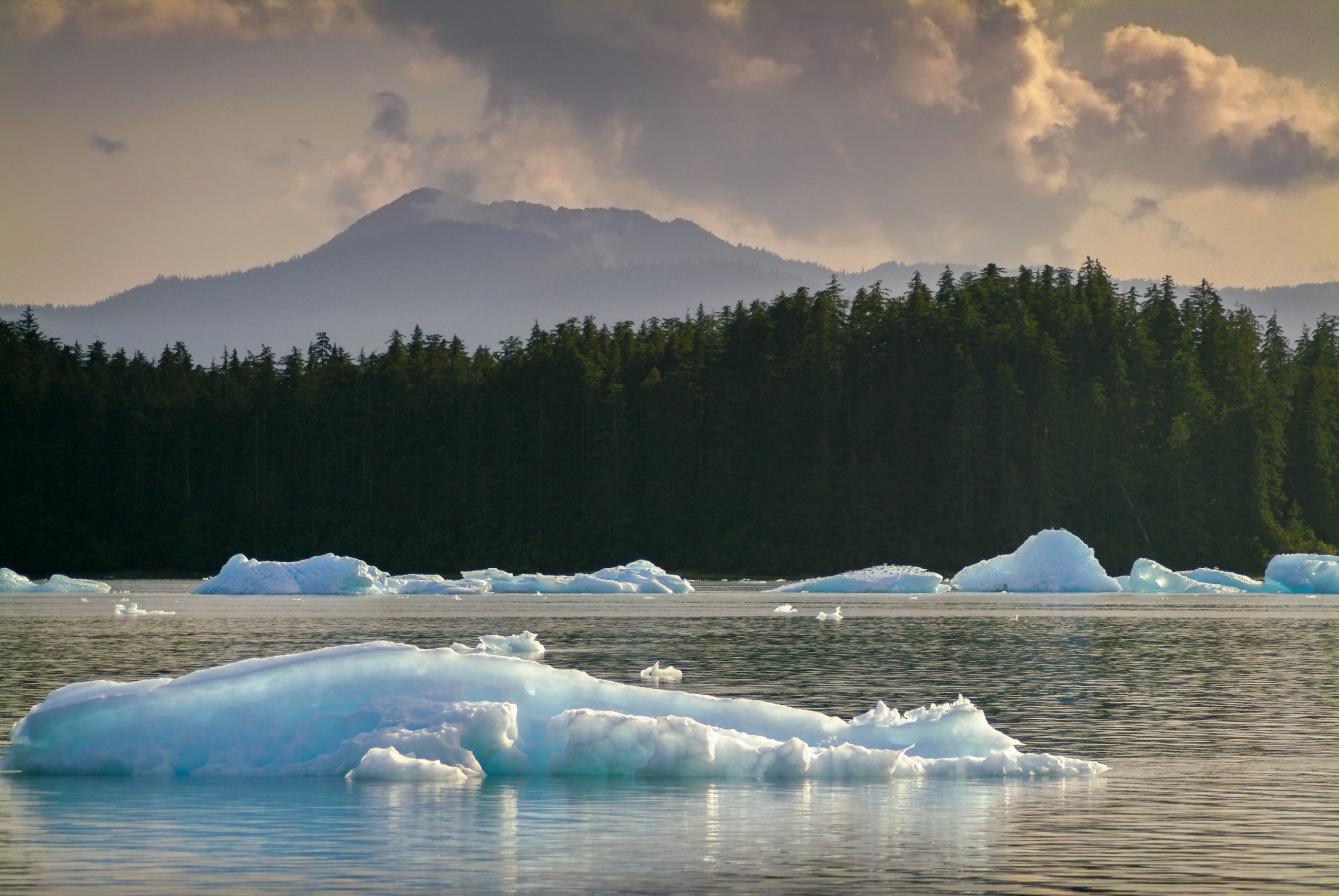 yacht charter Alaska Petersburg, Alaska