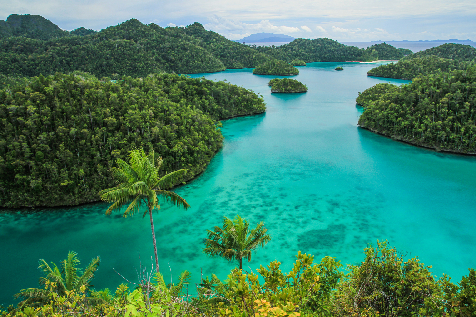 yacht charter indonesia, sorong