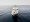 Motor Yacht AMADEUS 1 for Charter with SuperYachtsMonaco