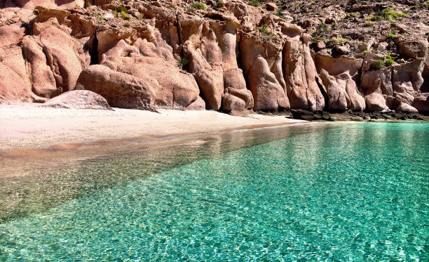Sea of Cortez, Isla Espititu Santo