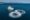 No.9 Yacht for Charter with SuperYachtsMonaco