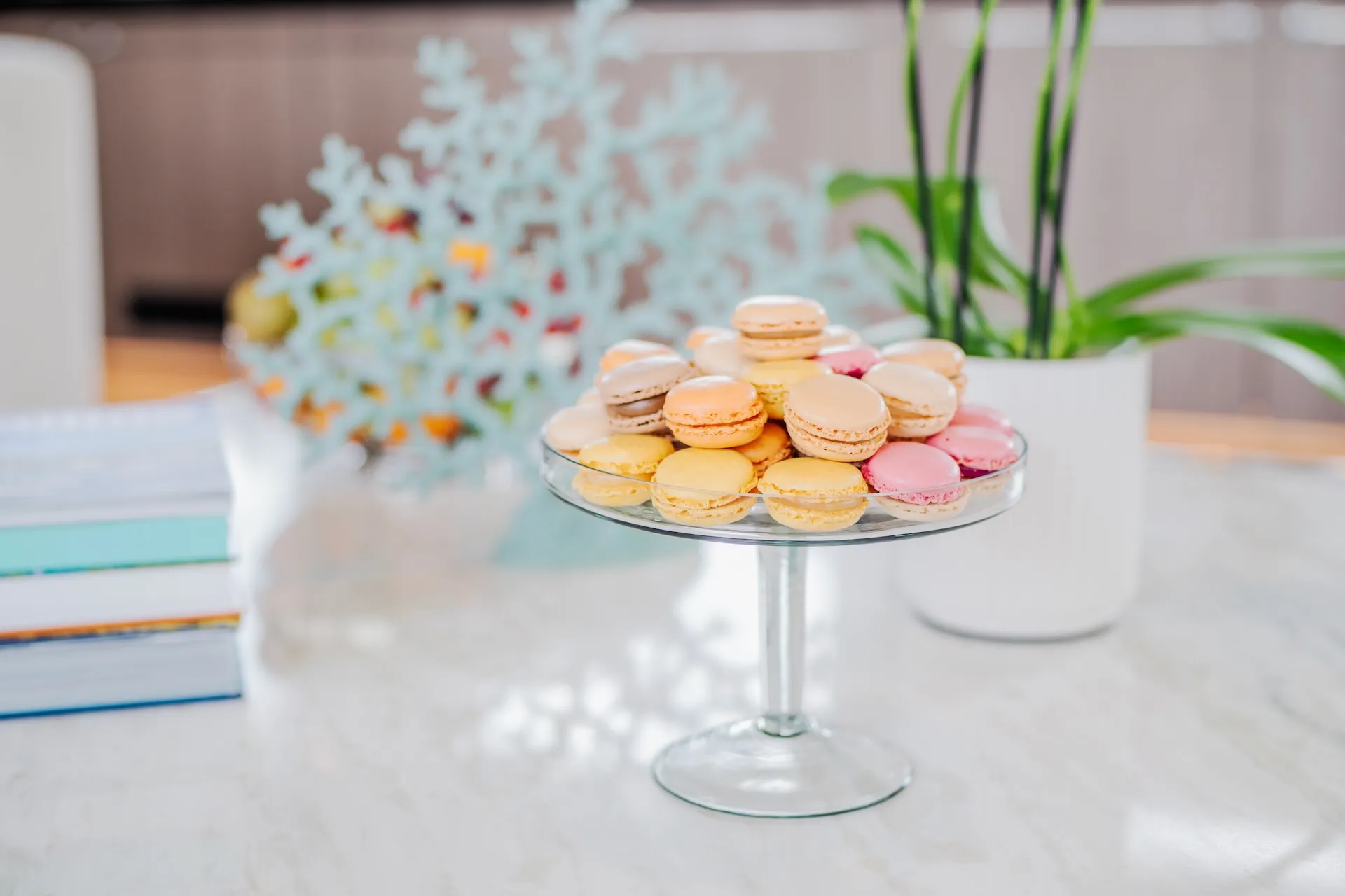 Motor Yacht DREAM for Charter with SuperYachtsMonaco