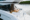 Motor Yacht LEELOO for Charter wirth SuperYachtsMonaco